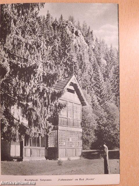 Udvarhely, a székely anyaszék/Székelyudvarhely, a székely anyaváros