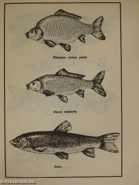 Horgászok és halkedvelők szakácskönyve