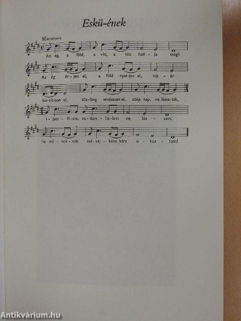 Leszállt a medve az égből