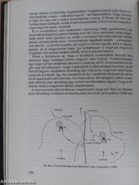 A róka ökológiája és vadászata