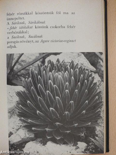 Virágkalendárium 1968