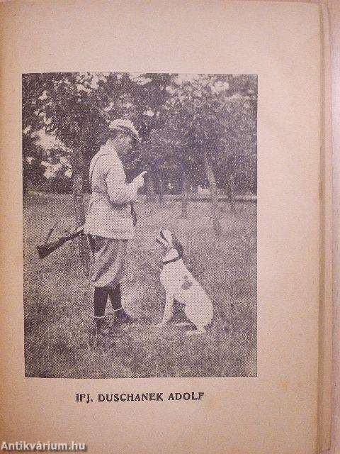 Hogyan bánjunk a vizslával hogy az jó maradjon?