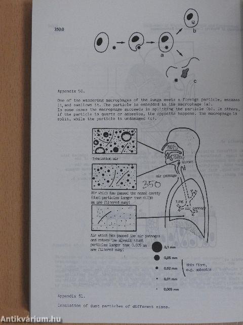 Dictionary of Working Conditions and Environment