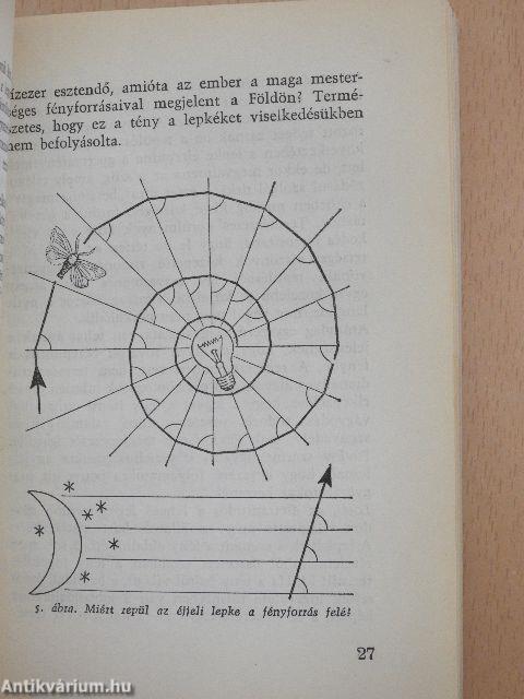 Gondolkodnak-e az állatok?