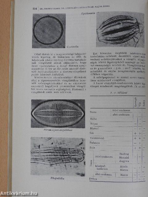 Belügyi Szemle 1968. március