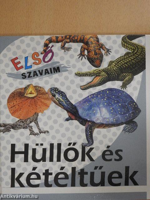 Hüllők és kétéltűek