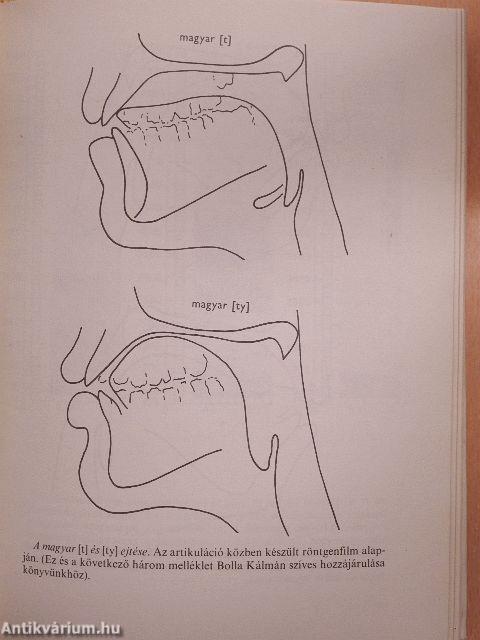 Könyv az orosz nyelvről