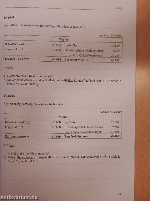 Példatár, teszt és esettanulmány a pénzügyi és vállalkozásfinanszírozási ismeretekhez