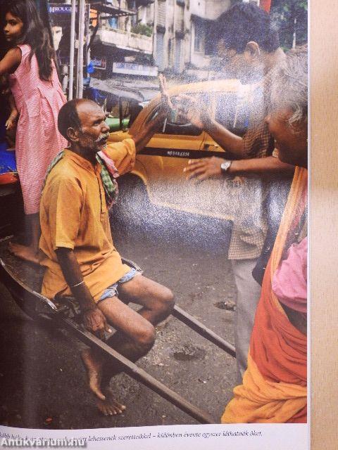 National Geographic Magyarország 2008. május