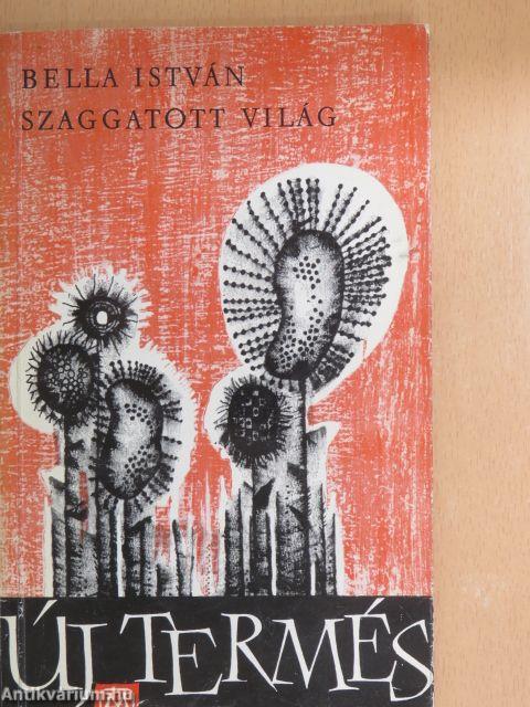 Szaggatott világ