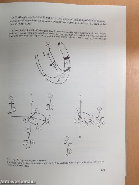 Belgyógyászati diagnosztika