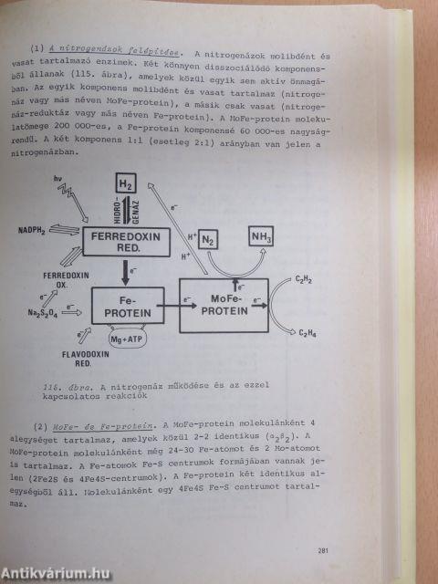 Növényi biokémia