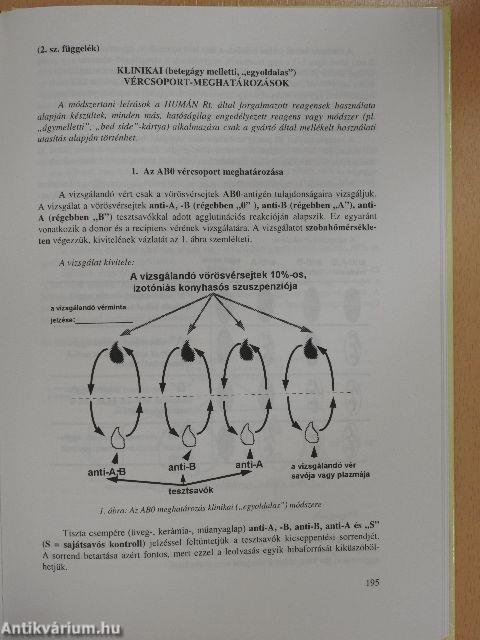 Transzfúziós alapismeretek és transzfuziológiai szabályzat