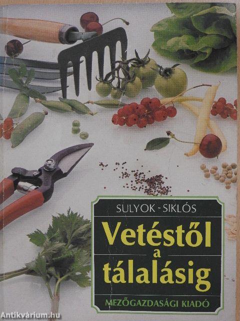 Vetéstől a tálalásig