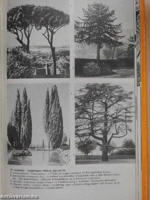 Természettudományi kisenciklopédia