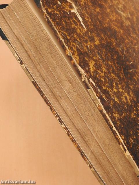 Vasárnapi Ujság/A Vasárnapi Ujság Regénytára 1898. (nem teljes évfolyam)