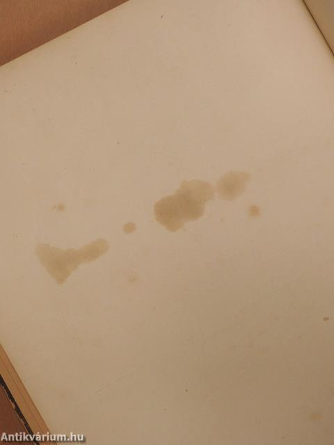 Vasárnapi Ujság/A Vasárnapi Ujság Regénytára 1896. (nem teljes évfolyam)