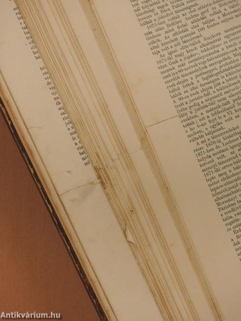 Vasárnapi Ujság/A Vasárnapi Ujság Regénytára 1896. (nem teljes évfolyam)