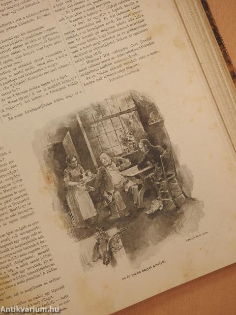 Vasárnapi Ujság/A Vasárnapi Ujság Regénytára 1896. (nem teljes évfolyam)