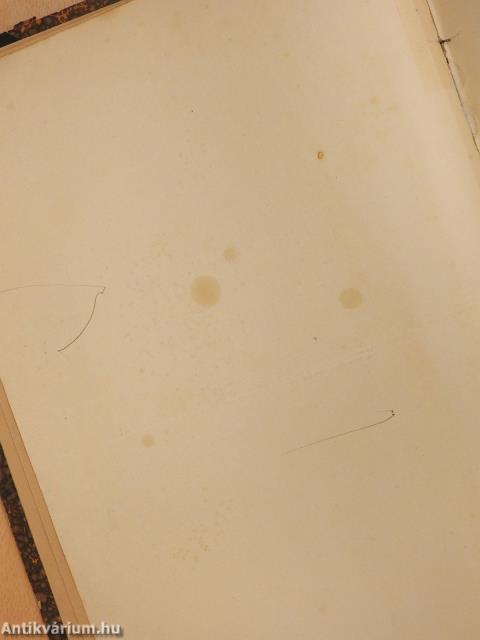 Vasárnapi Ujság/A Vasárnapi Ujság Regénytára 1900. (nem teljes évfolyam)