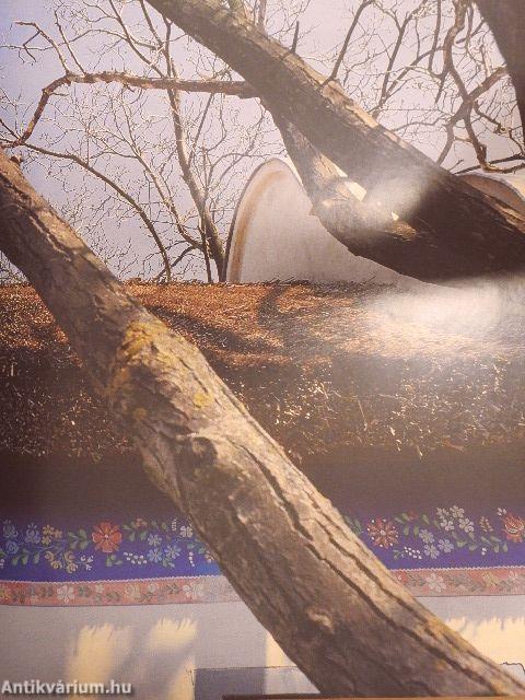 Két folyó között