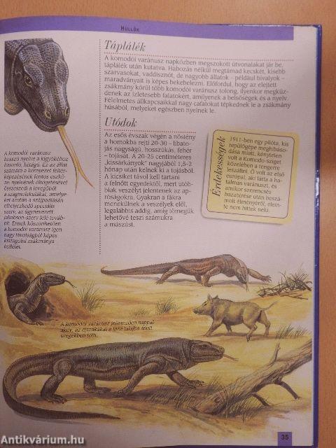 Dél-Ázsia és az Indonéz-szigetek állatvilága