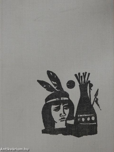 Egy kis indián kalandjai