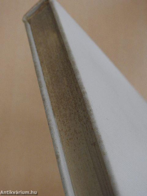 Egy kis indián kalandjai