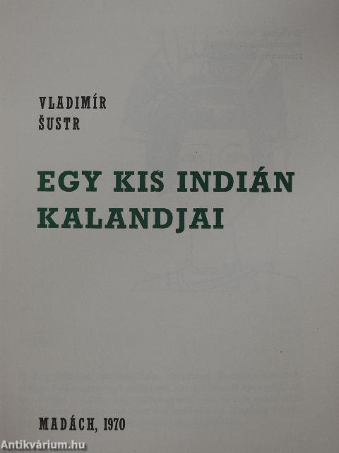 Egy kis indián kalandjai