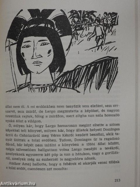 Egy kis indián kalandjai