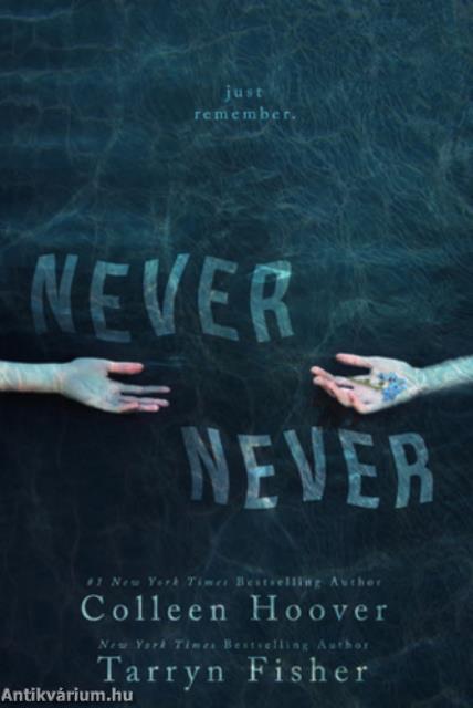 Never &#8203;Never (Never Never 1.)