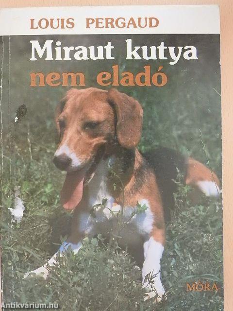 Miraut kutya nem eladó