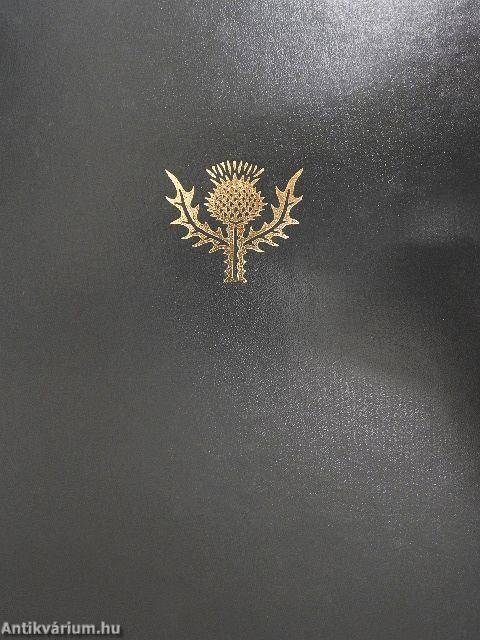 Britannica Hungarica Világenciklopédia 13.