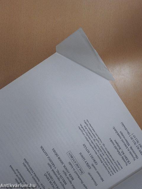 Britannica Hungarica Világenciklopédia 13.