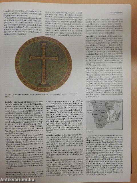 Britannica Hungarica Világenciklopédia 13.