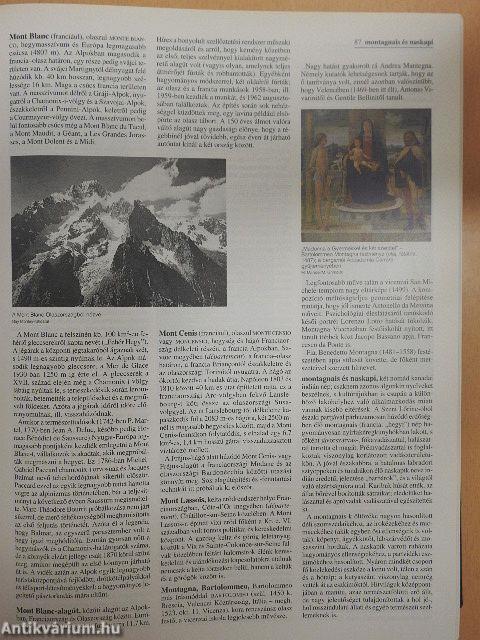 Britannica Hungarica Világenciklopédia 13.