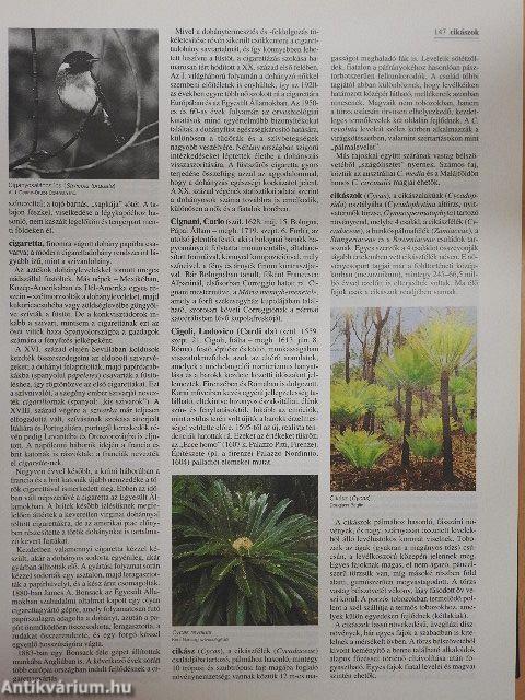 Britannica Hungarica Világenciklopédia 4.