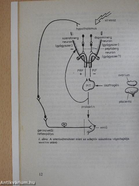 Terhesség, szülés, változó kor