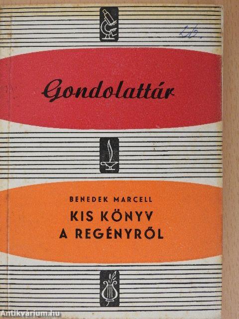Kis könyv a regényről