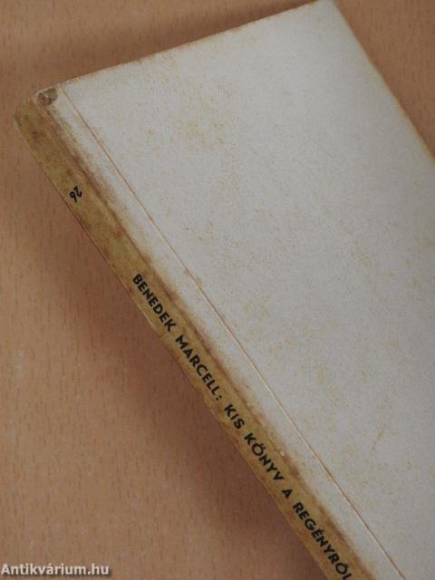 Kis könyv a regényről