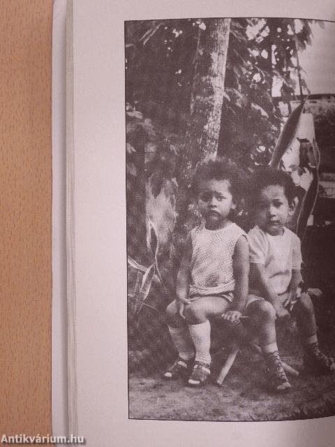 Gulyásleves négercsókkal