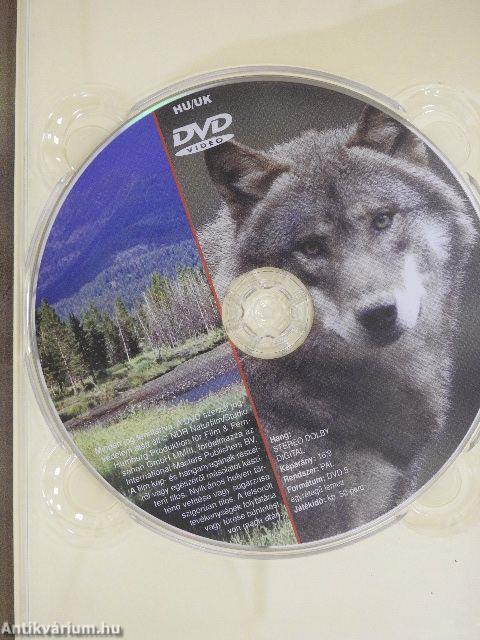 Szürke farkas - DVD-vel