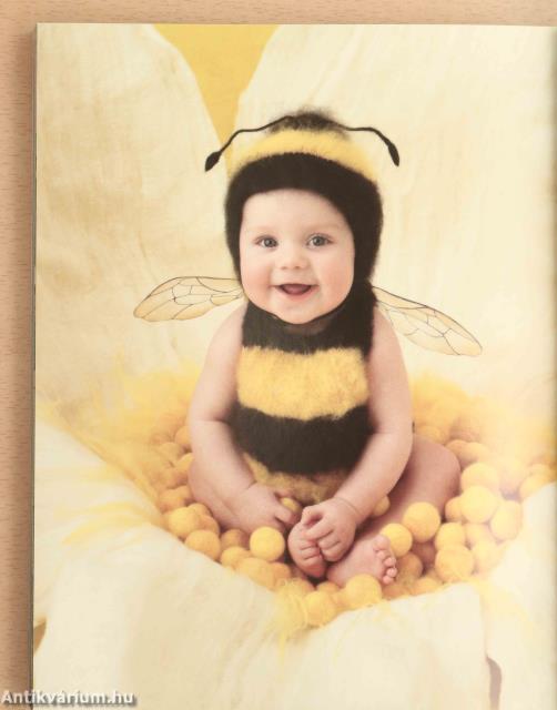 Taschen – The Complete Winter Program 2017-2018