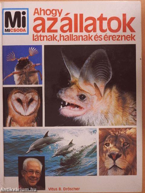 Ahogy az állatok látnak, hallanak és éreznek