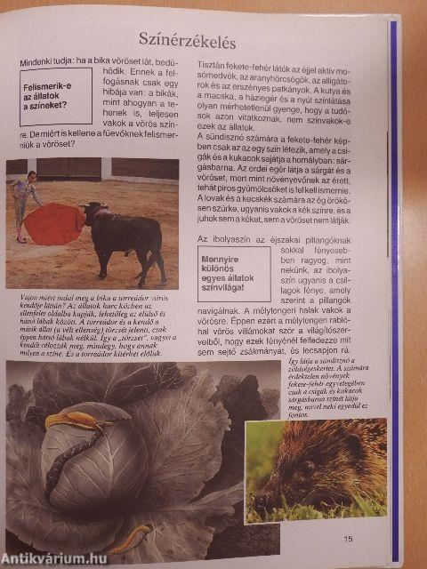 Ahogy az állatok látnak, hallanak és éreznek