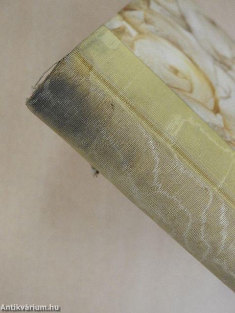 Egy lélek fejlődése II.