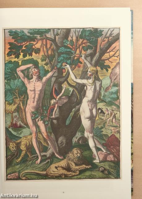 Theodore de Bry: America