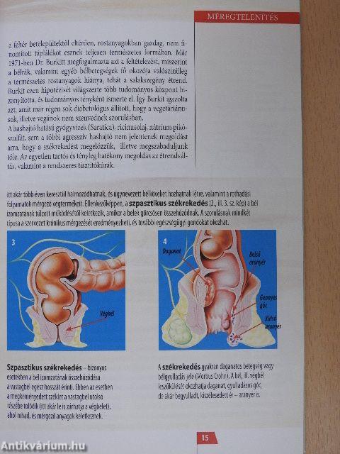 A szervezet méregtelenítése az élet javítása