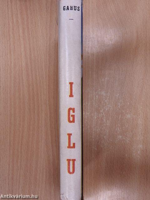 Iglu