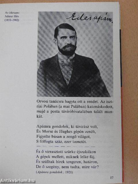 Így élt Juhász Gyula